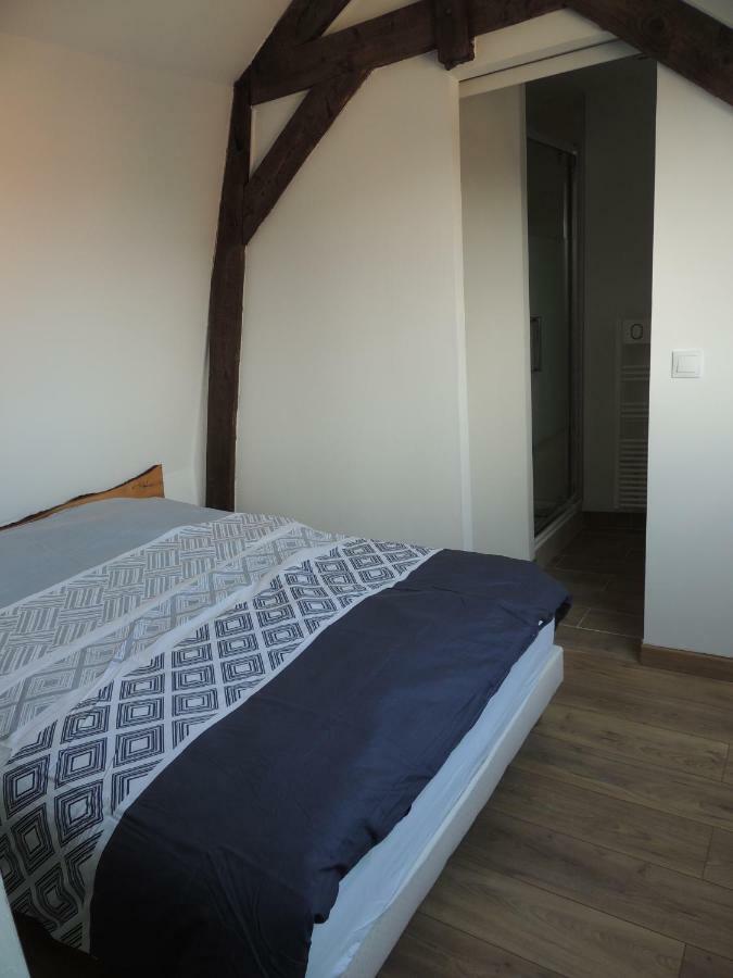 וילנב ד'אסק Appartements Du 101 מראה חיצוני תמונה